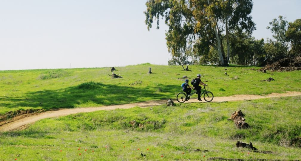 Фото: Shutterstock